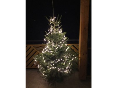 Apartment Appartement "Gaby" - Outdoor photo 21