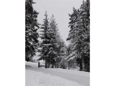 Apartment Appartement "Gaby" - Outdoor photo 29