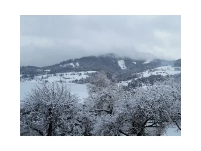 Apartment Appartement "Gaby" - Outdoor photo 31