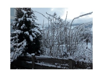 Apartment Appartement "Gaby" - Outdoor photo 32