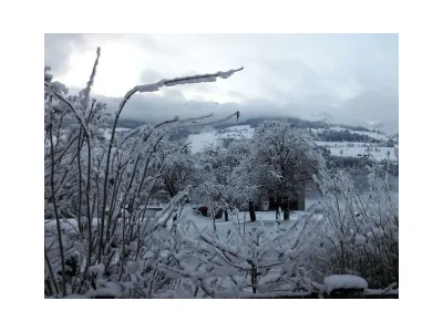 Apartment Appartement "Gaby" - Outdoor photo 35