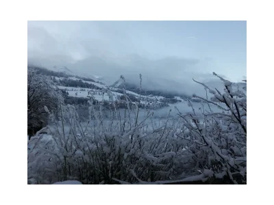 Apartment Appartement "Gaby" - Outdoor photo 36