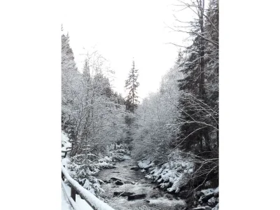 Apartment Appartement "Gaby" - Outdoor photo 38