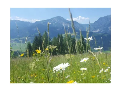 Apartment Appartement "Gaby" - Outdoor photo 44