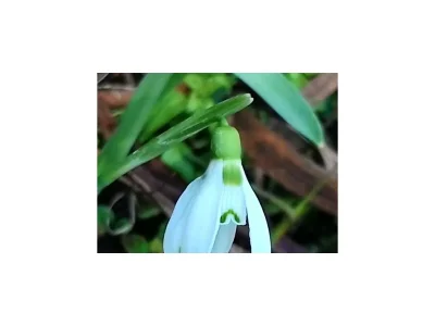 Apartment Appartement "Gaby" - Outdoor photo 45