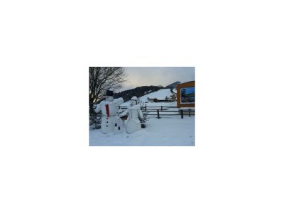 Apartment App./1 Schlafraum/Dusche, WC - Outdoor photo 13