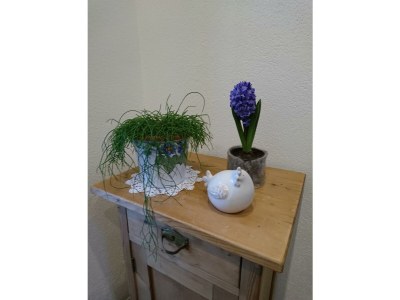 Apartment Apartment/2 Schlafräume/Dusche, WC - Outdoor photo 5