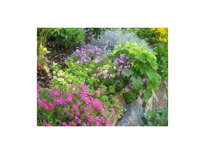 Apartment Apartment/2 Schlafräume/Dusche, WC - Outdoor photo 9