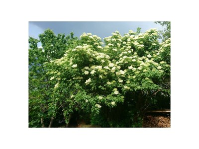 Apartment Apartment/2 Schlafräume/Dusche, WC - Outdoor photo 10