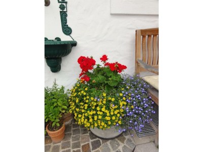 Apartment Apartment/2 Schlafräume/Dusche, WC - Outdoor photo 11