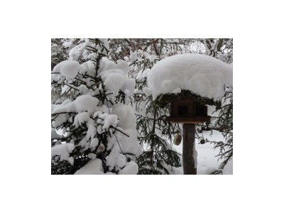 Apartment Apartment/2 Schlafräume/Dusche, WC - Outdoor photo 12