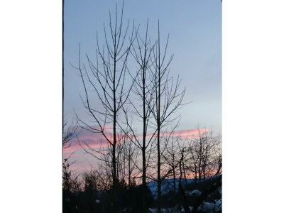 Apartment Apartment/2 Schlafräume/Dusche, WC - Outdoor photo 13