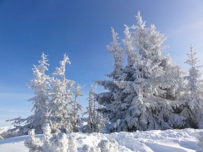 Apartment Apartment/2 Schlafräume/Dusche, WC - Outdoor photo 14