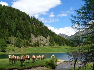 Apartment Apartment/2 Schlafräume/Dusche, WC - Outdoor photo 22
