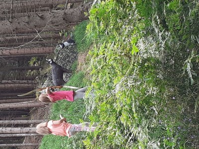 Apartment App. Kufstein - App., Dusche, WC, 2 Schlafräume - Outdoor photo 29