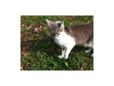 Apartment Appartement, 2 Schlafräume, Dusche, WC (3-6 Pers.) - Outdoor photo 12