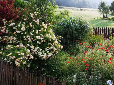 Apartment Stoder - App. mit 2 Schlafräume; Dusche, WC - Outdoor photo 46
