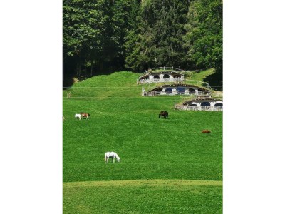 Apartment Stoder - App. mit 2 Schlafräume; Dusche, WC - Outdoor photo 52