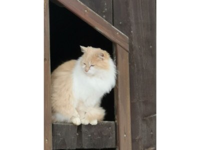 Apartment Stoder - App. mit 2 Schlafräume; Dusche, WC - Outdoor photo 54