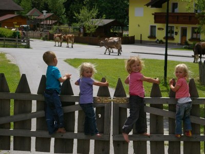 Apartment Remise - App.mit 2 Schlafräume; Dusche, WC - Outdoor photo 16