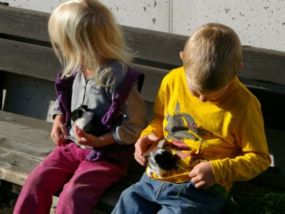 Apartment Remise - App.mit 2 Schlafräume; Dusche, WC - Outdoor photo 21