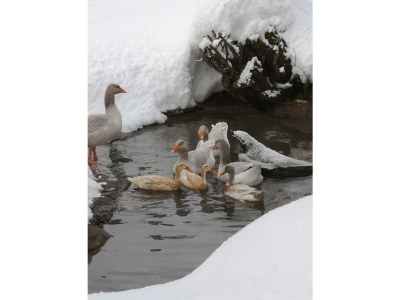 Apartment Remise - App.mit 2 Schlafräume; Dusche, WC - Outdoor photo 45