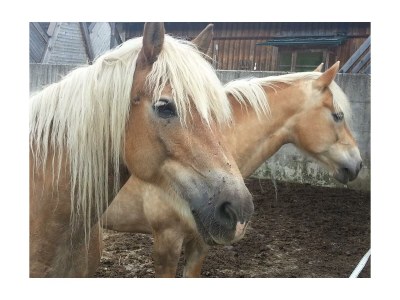 Apartment Kaibling - App. mit 2 Schlafräume; Dusche, WC - Outdoor photo 12