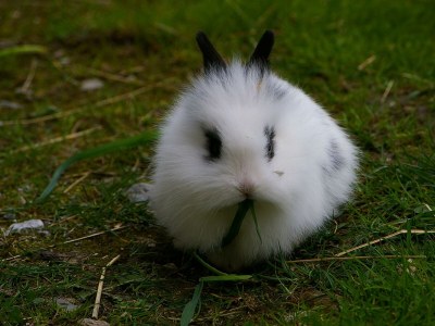 Apartment Kaibling - App. mit 2 Schlafräume; Dusche, WC - Outdoor photo 18