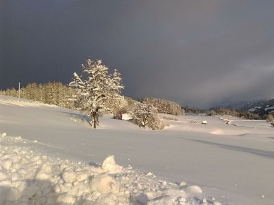 Apartment App. 3 - Apartment/Wohn-Schlafraum/Bad, WC - Outdoor photo 38