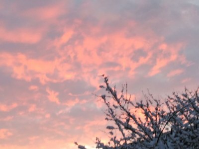 Apartment App. 3 - Apartment/Wohn-Schlafraum/Bad, WC - Outdoor photo 67