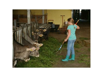 Apartment App. 8 - Apartment/1 Schlafraum/Bad, WC - Outdoor photo 9