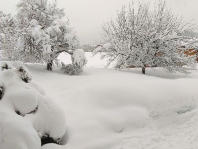 Apartment App. 8 - Apartment/1 Schlafraum/Bad, WC - Outdoor photo 49