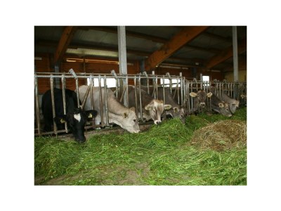 Apartment App. 4 - Apartment/Wohn-Schlafraum/Bad, WC - Outdoor photo 3