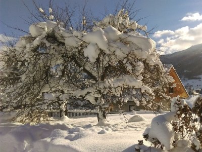 Apartment App. 4 - Apartment/Wohn-Schlafraum/Bad, WC - Outdoor photo 22