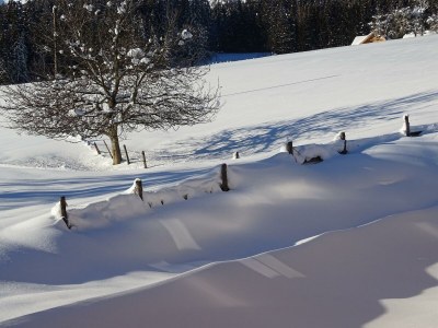 Apartment App. 4 - Apartment/Wohn-Schlafraum/Bad, WC - Outdoor photo 36