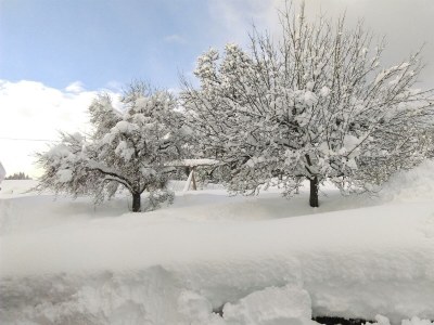 Apartment App. 4 - Apartment/Wohn-Schlafraum/Bad, WC - Outdoor photo 38