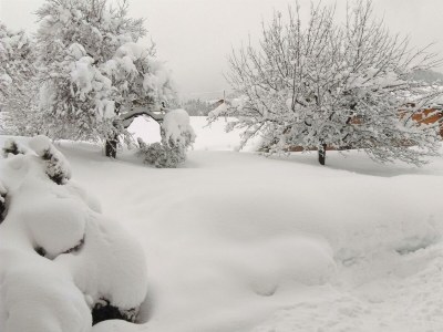 Apartment App. 4 - Apartment/Wohn-Schlafraum/Bad, WC - Outdoor photo 39