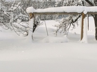 Apartment App. 4 - Apartment/Wohn-Schlafraum/Bad, WC - Outdoor photo 43