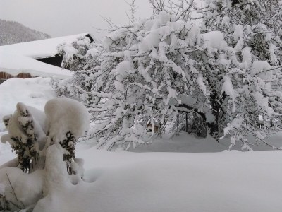 Apartment App. 4 - Apartment/Wohn-Schlafraum/Bad, WC - Outdoor photo 45