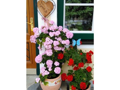 Apartment App. 4 - Apartment/Wohn-Schlafraum/Bad, WC - Outdoor photo 71