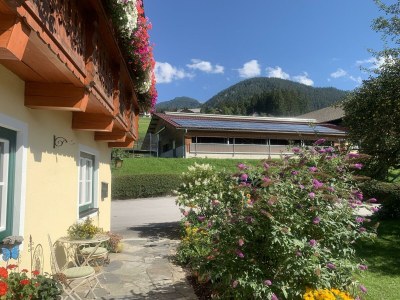 Apartment App. 6 - Apartment/1 Schlafraum/Bad, WC - Outdoor photo 21