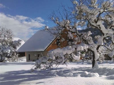 Apartment App. 6 - Apartment/1 Schlafraum/Bad, WC - Outdoor photo 29