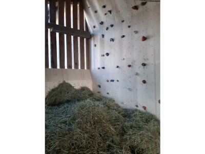 Apartment Appartement/Fewo, 3 Bäder, 3 Schlafräume - Outdoor photo 29