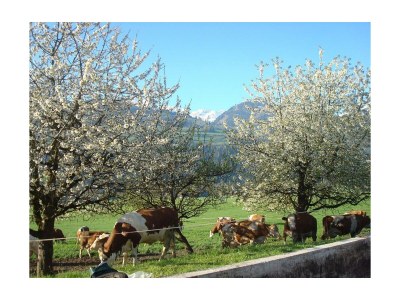 Apartment Appartement/Fewo, 3 Bäder, 3 Schlafräume - Outdoor photo 33