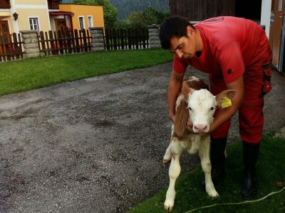 Apartment Appartement/Fewo, 3 Bäder, 3 Schlafräume - Outdoor photo 35