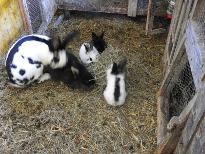 Apartment Appartement/Fewo, 3 Bäder, 3 Schlafräume - Outdoor photo 37