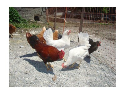 Apartment Appartement/Fewo, 3 Bäder, 3 Schlafräume - Outdoor photo 40