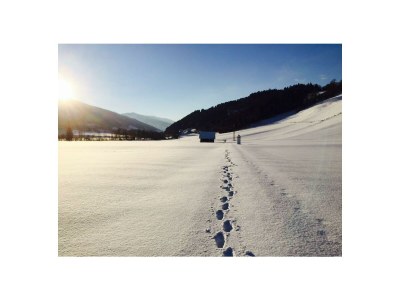 Apartment Ferienwohnung, 2 Schlafräume, Dusche, WC getrennt - Outdoor photo 53