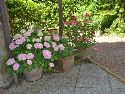 Holiday apartment "A" in Casa Furrer - Outdoor photo 5