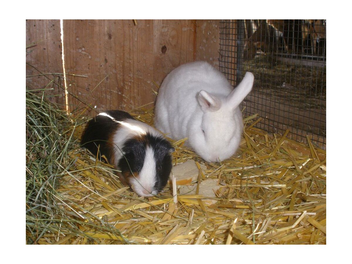 Apartment Stoder -  App./2 Schlafräume/Du., WC - Outdoor photo 3